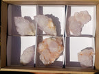 Natural Spirit Amethyst Clusters x 6 From Boekenhouthoek, South Africa - Toprock Gemstones and Minerals 