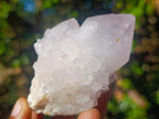 Natural Spirit Amethyst Clusters x 6 From Boekenhouthoek, South Africa - Toprock Gemstones and Minerals 