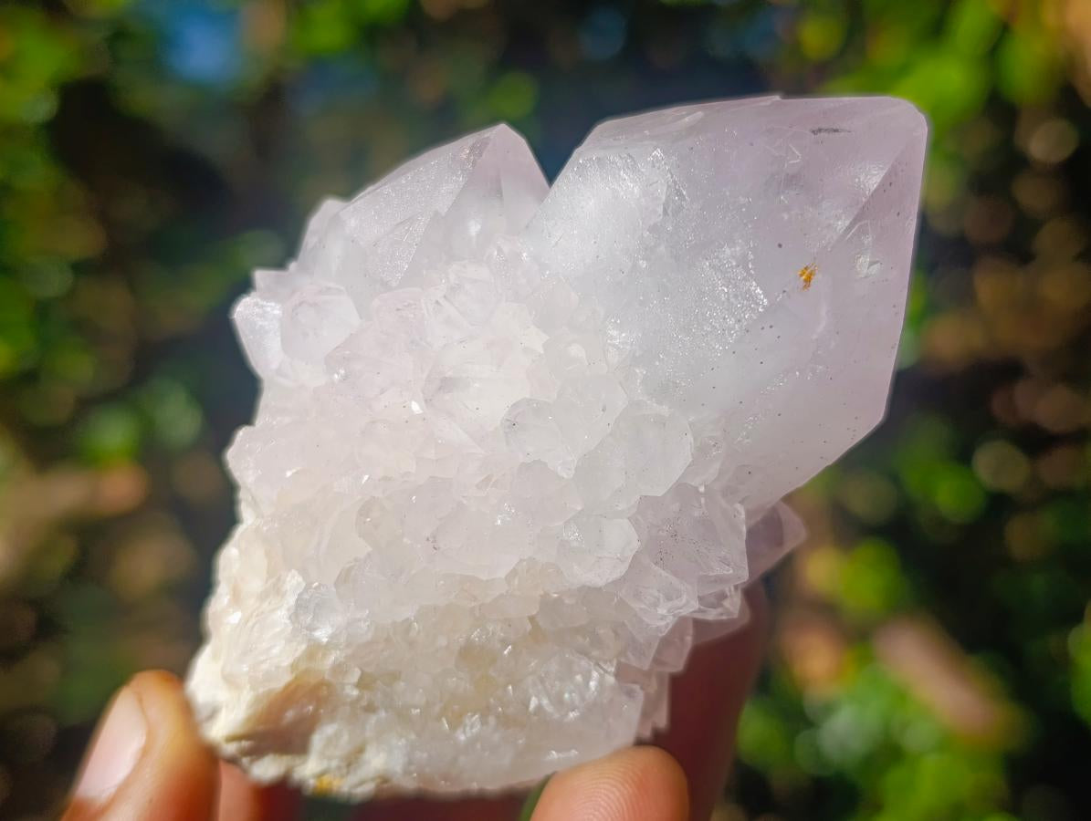 Natural Spirit Amethyst Clusters x 6 From Boekenhouthoek, South Africa - Toprock Gemstones and Minerals 
