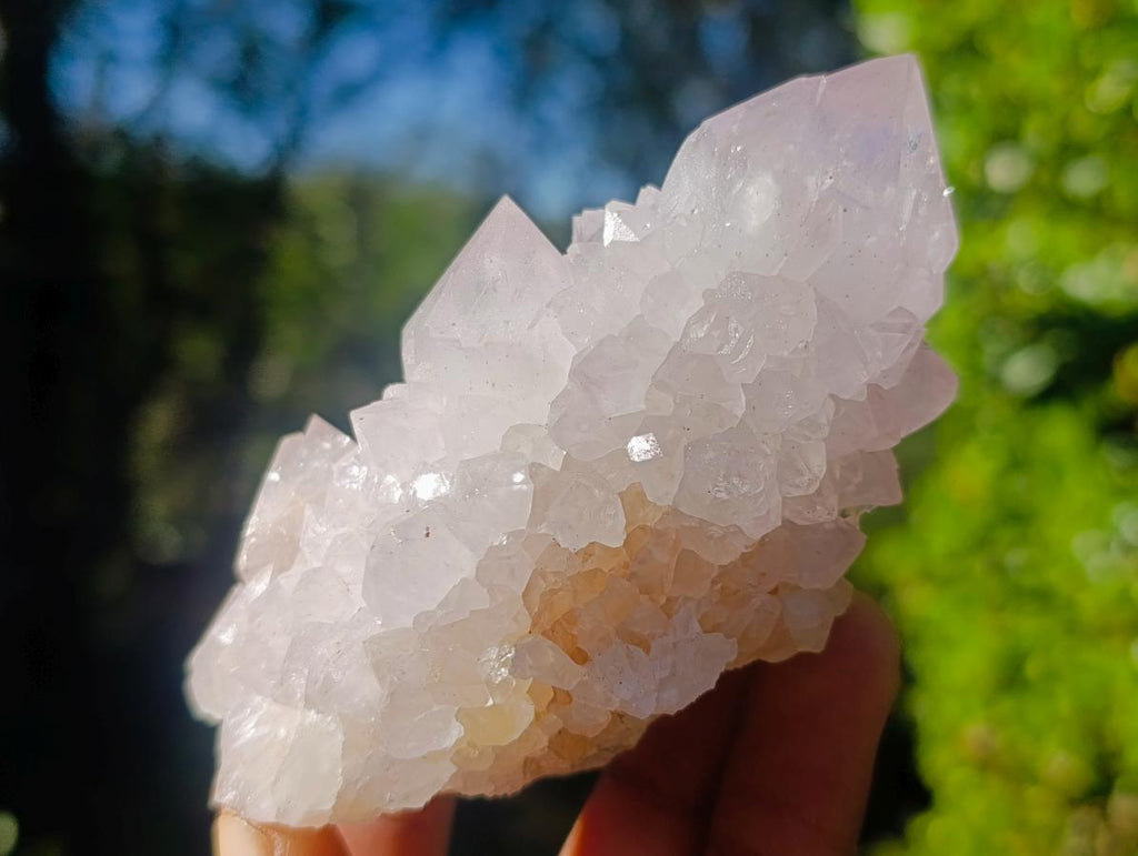 Natural Spirit Amethyst Clusters x 6 From Boekenhouthoek, South Africa - Toprock Gemstones and Minerals 