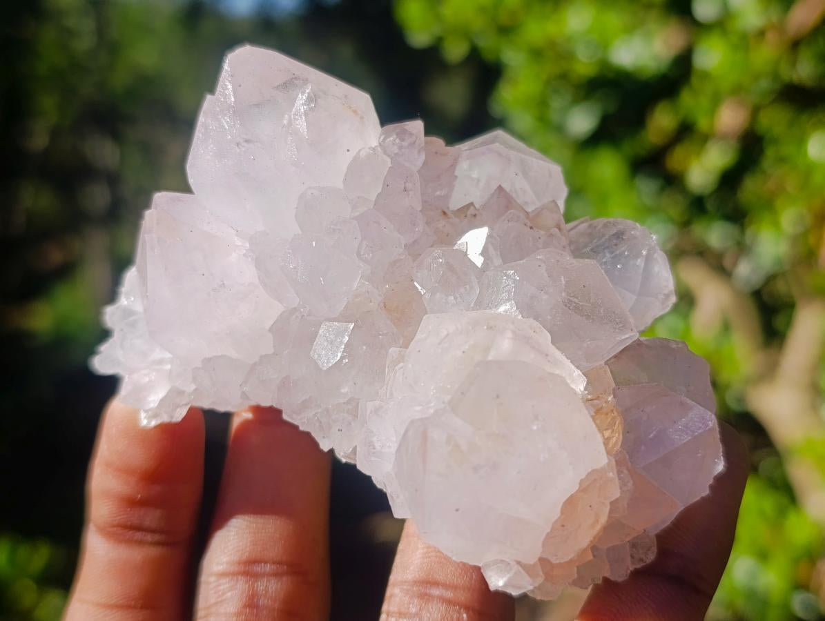 Natural Spirit Amethyst Clusters x 6 From Boekenhouthoek, South Africa - Toprock Gemstones and Minerals 