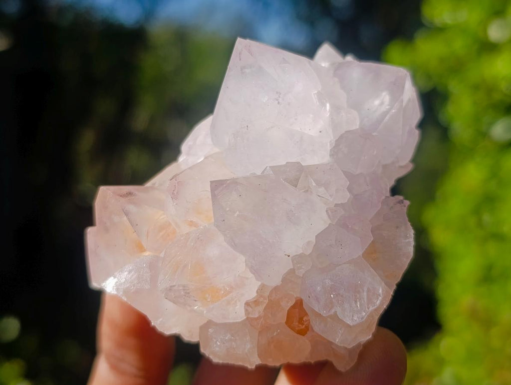 Natural Spirit Amethyst Clusters x 6 From Boekenhouthoek, South Africa - Toprock Gemstones and Minerals 