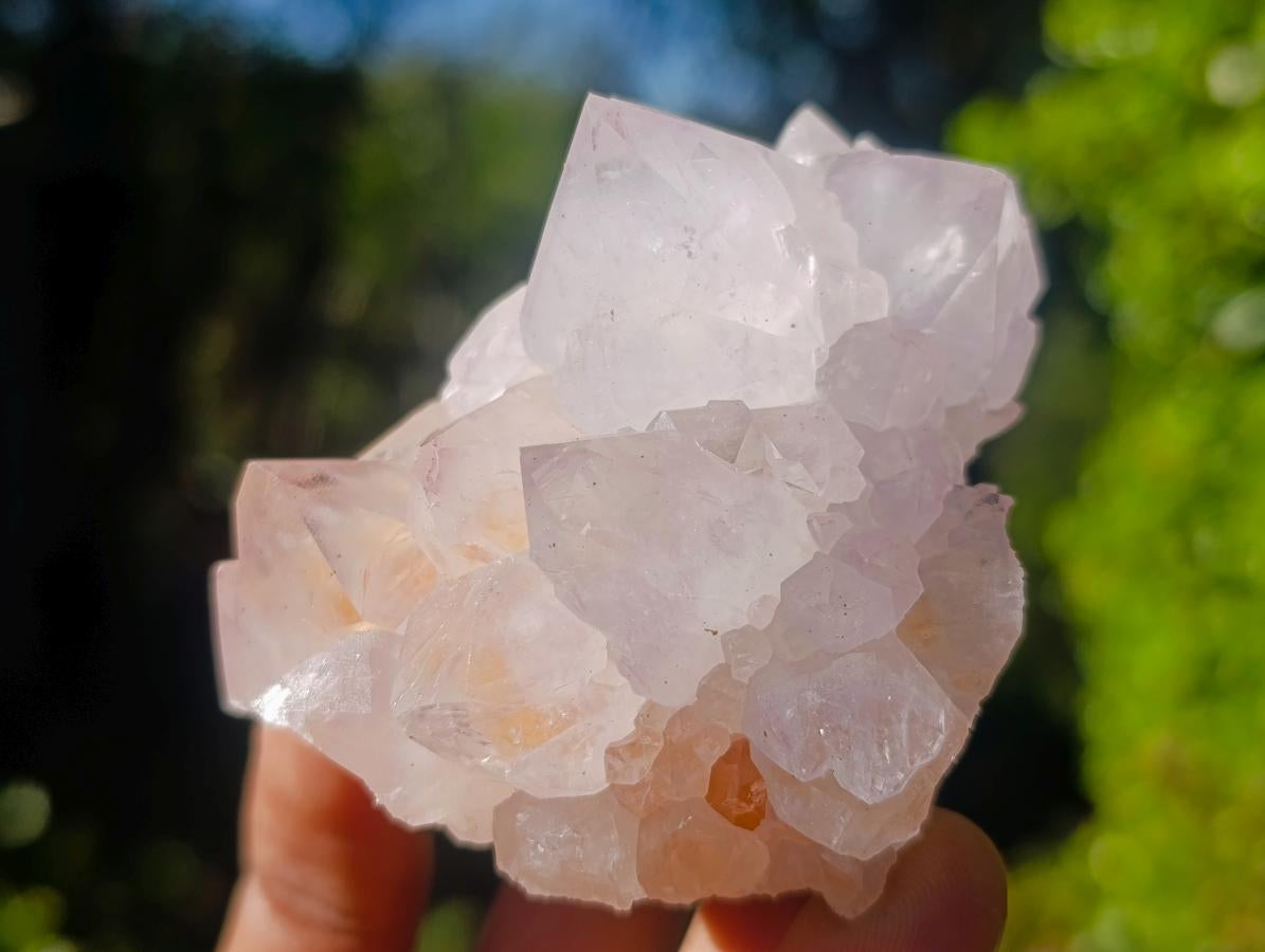 Natural Spirit Amethyst Clusters x 6 From Boekenhouthoek, South Africa - Toprock Gemstones and Minerals 