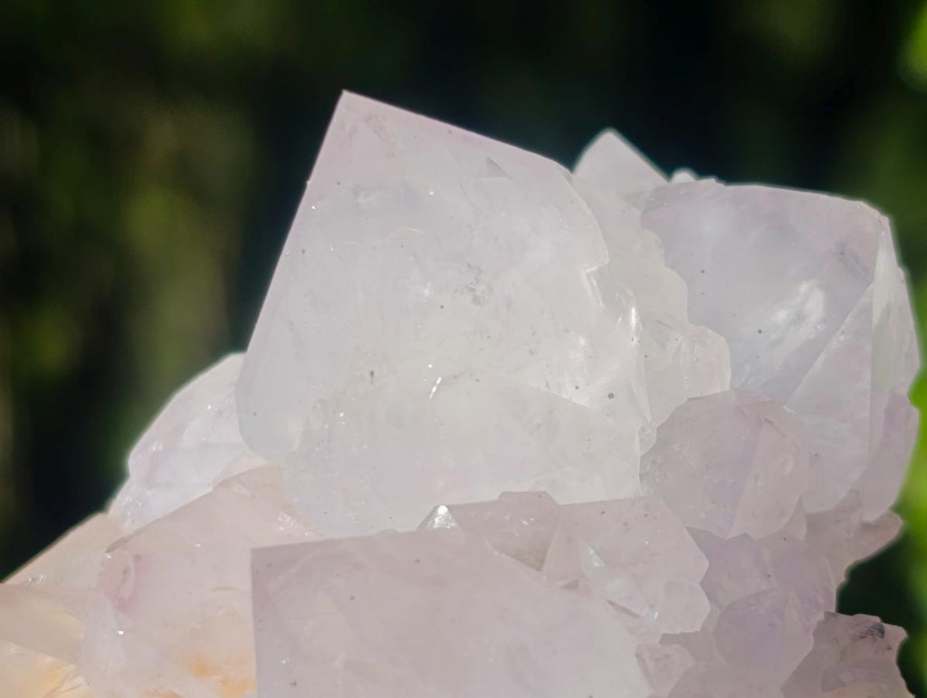 Natural Spirit Amethyst Clusters x 6 From Boekenhouthoek, South Africa - Toprock Gemstones and Minerals 