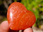 Polished Mixed Multi Mineral Hearts x 56 From Madagascar - Toprock Gemstones and Minerals 