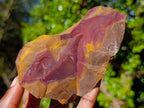Natural Nguni Jasper Cobbed Specimens x 12 From Northern Cape, South Africa - Toprock Gemstones and Minerals 