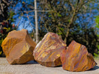 Natural Nguni Jasper Cobbed Specimens x 12 From Northern Cape, South Africa - Toprock Gemstones and Minerals 