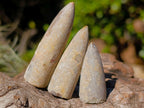 Natural Belemnite Rostrum Fossils x 2.1 Kg Lot From Madagascar - Toprock Gemstones and Minerals 