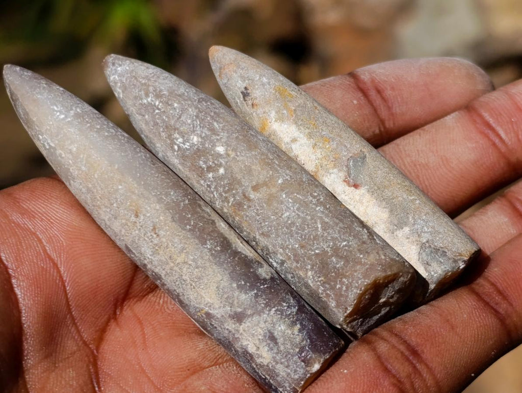 Natural Belemnite Rostrum Fossils x 2.1 Kg Lot From Madagascar - Toprock Gemstones and Minerals 
