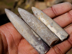 Natural Belemnite Rostrum Fossils x 2.1 Kg Lot From Madagascar - Toprock Gemstones and Minerals 
