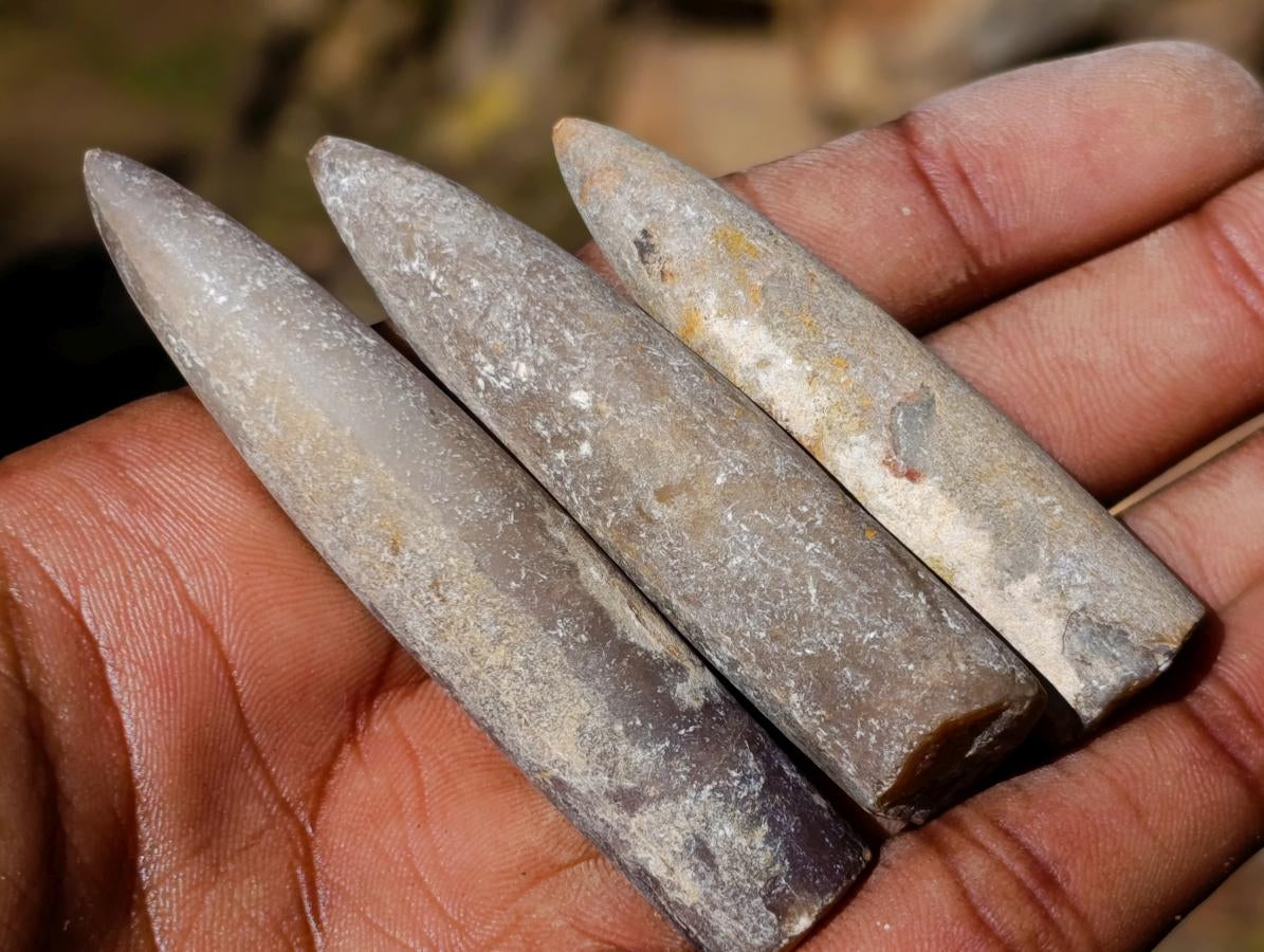 Natural Belemnite Rostrum Fossils x 2.1 Kg Lot From Madagascar - Toprock Gemstones and Minerals 