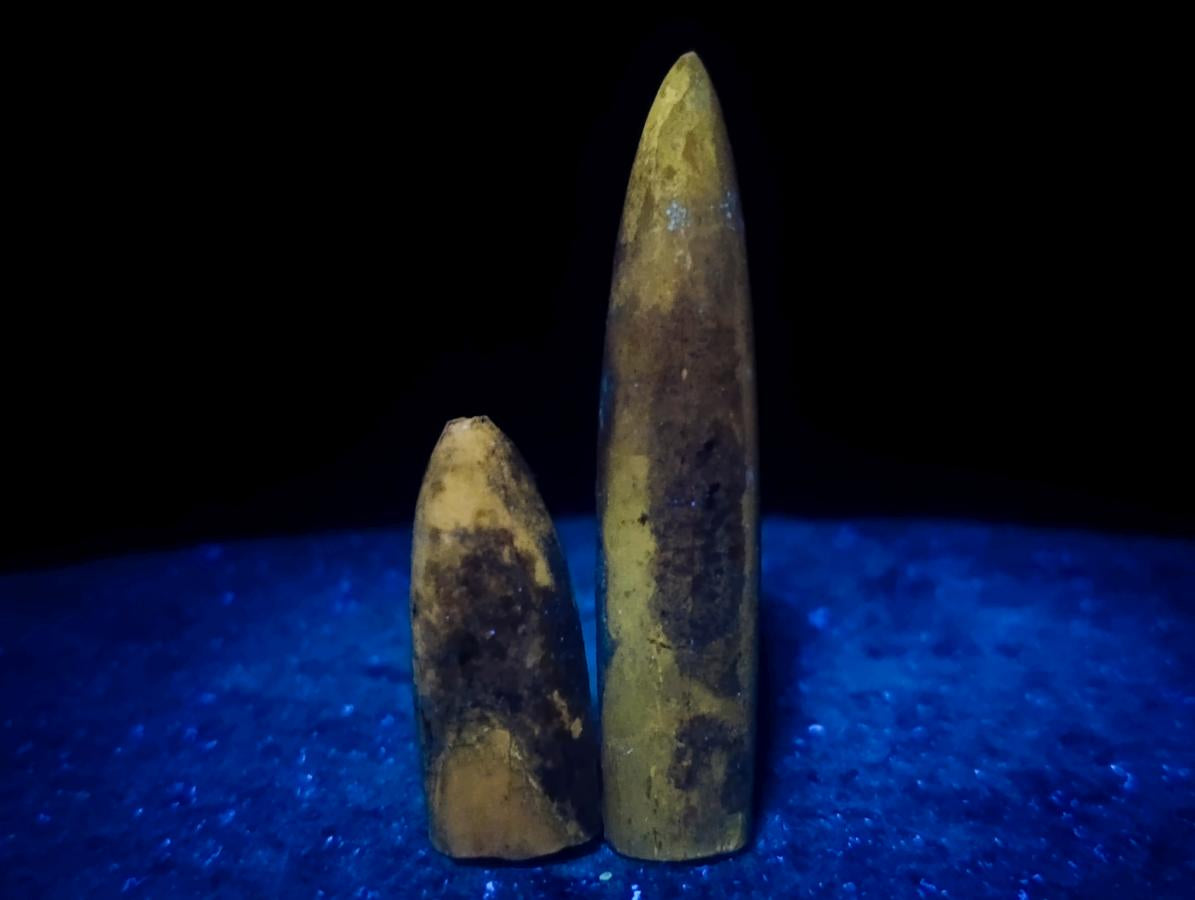 Natural Belemnite Rostrum Fossils x 2.1 Kg Lot From Madagascar - Toprock Gemstones and Minerals 