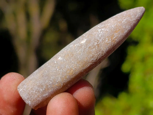 Natural Belemnite Rostrum Fossils x 2.1 Kg Lot From Madagascar - Toprock Gemstones and Minerals 