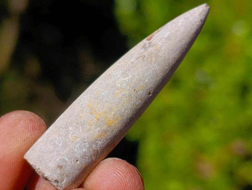 Natural Belemnite Rostrum Fossils x 2.1 Kg Lot From Madagascar - Toprock Gemstones and Minerals 