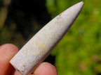 Natural Belemnite Rostrum Fossils x 2.1 Kg Lot From Madagascar - Toprock Gemstones and Minerals 