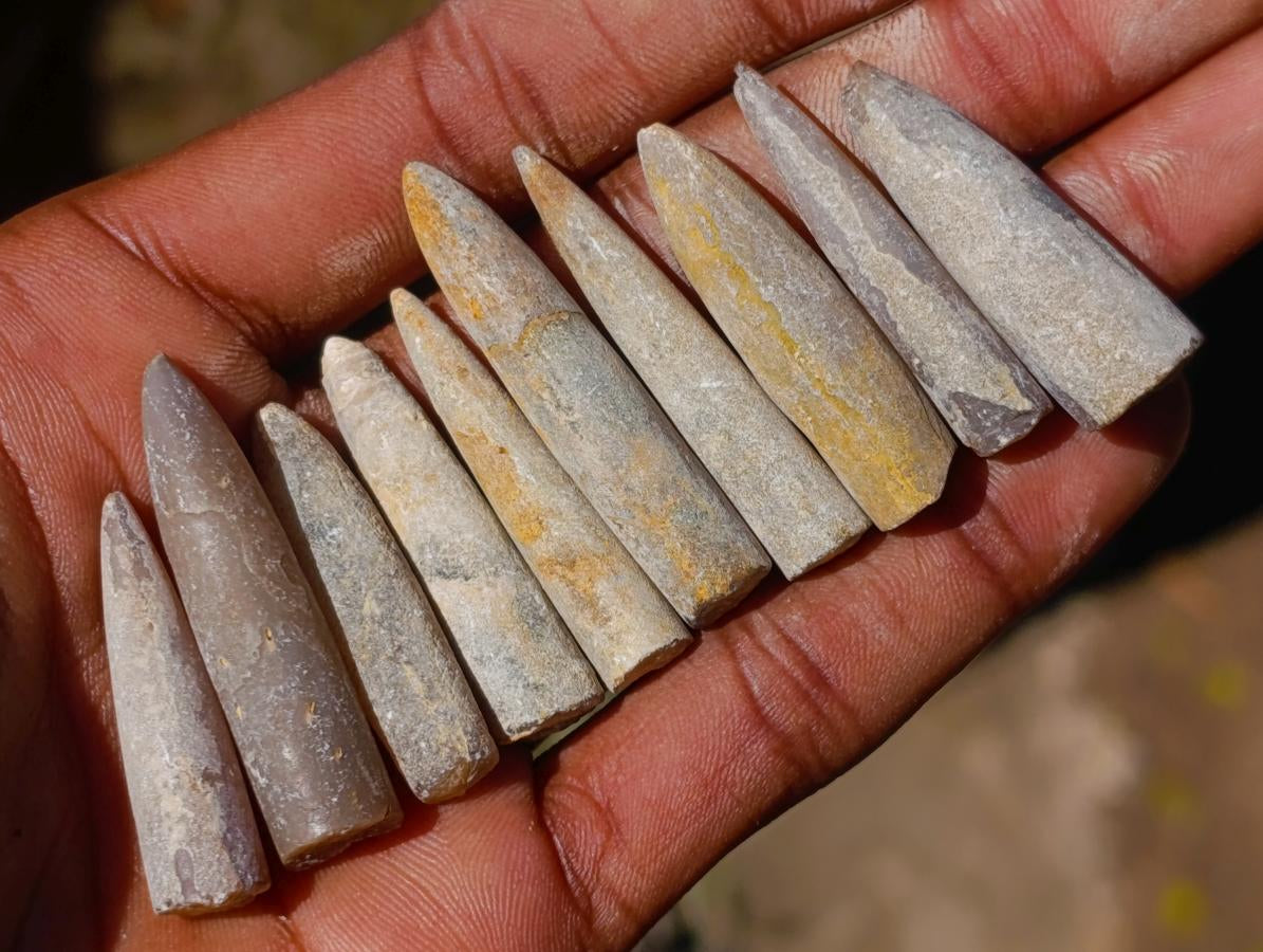 Natural Belemnite Rostrum Fossils x 2.1 Kg Lot From Madagascar - Toprock Gemstones and Minerals 