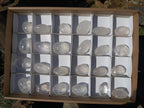 Polished Girasol Pearl Quartz Palm Stones x 24 From Ambatondrazaka, Madagascar - Toprock Gemstones and Minerals 