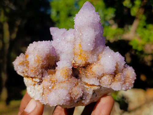 Natural Spirit Ametrine Clusters x 2 From Boekenhouthoek, South Africa - Toprock Gemstones and Minerals 