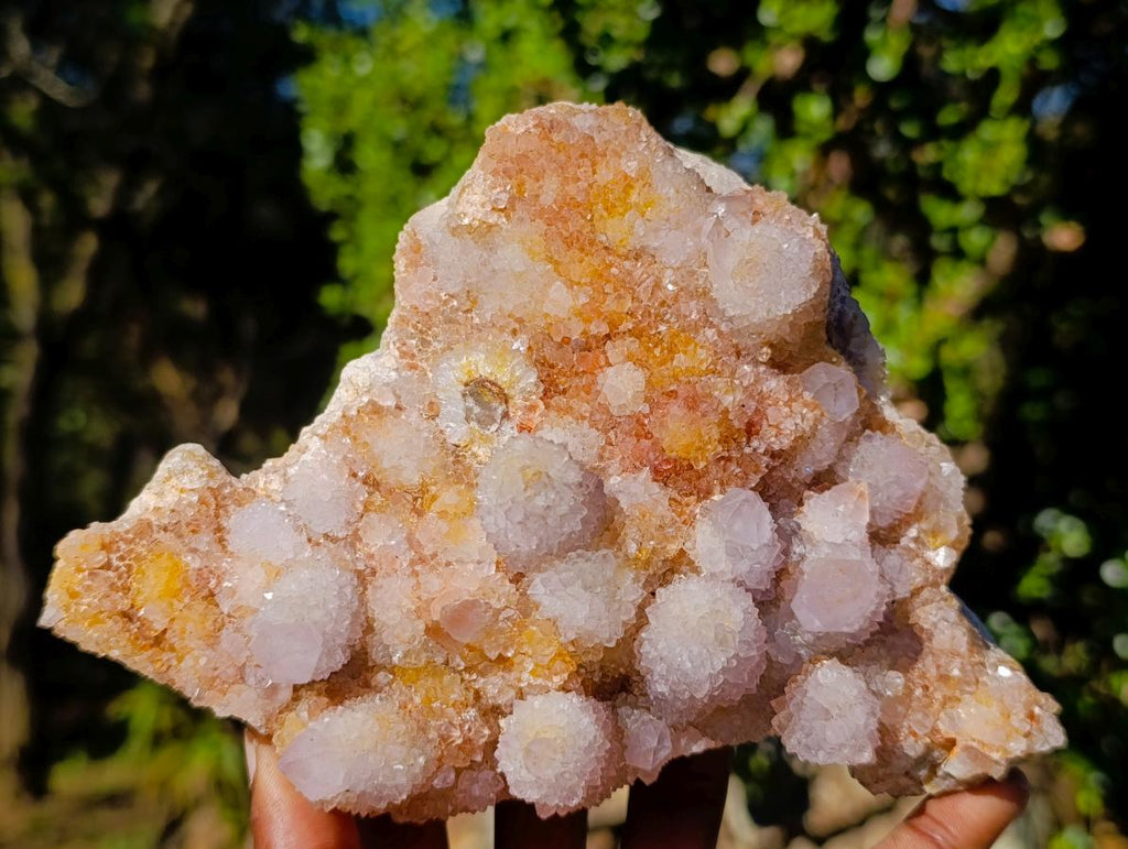 Natural Spirit Ametrine Clusters x 2 From Boekenhouthoek, South Africa - Toprock Gemstones and Minerals 