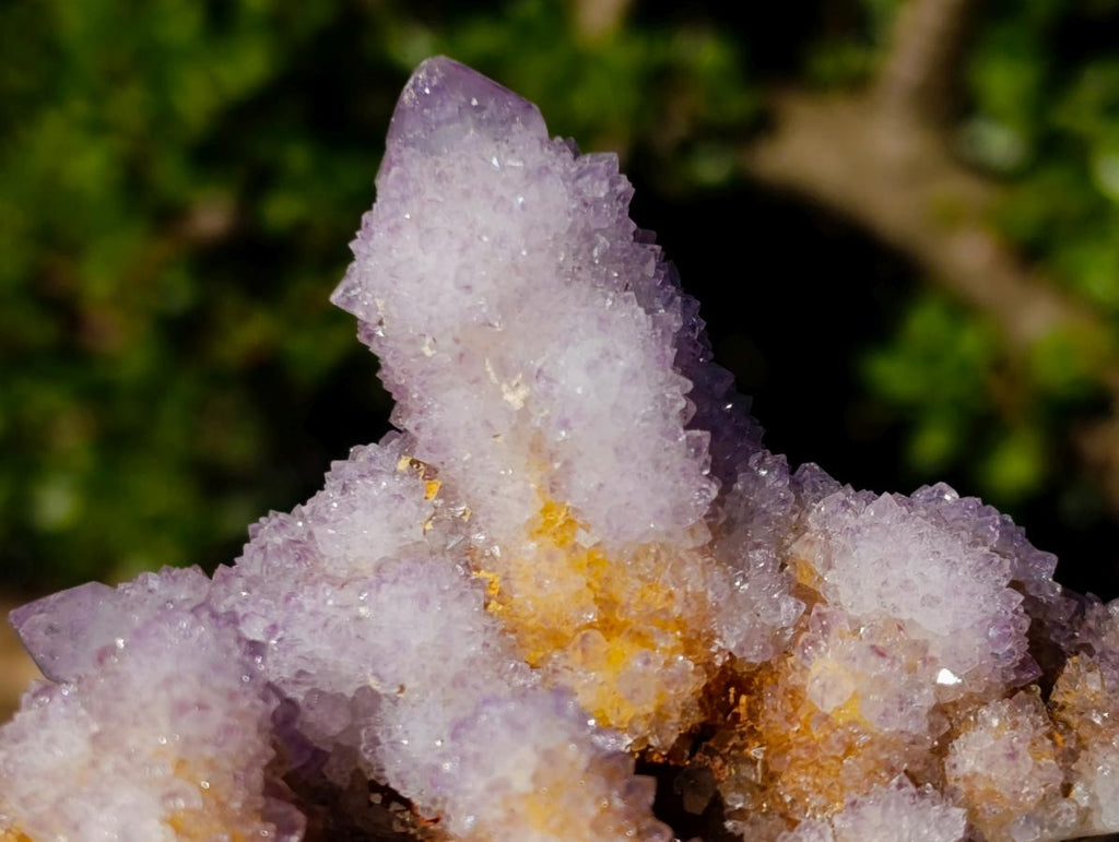 Natural Spirit Ametrine Clusters x 2 From Boekenhouthoek, South Africa - Toprock Gemstones and Minerals 