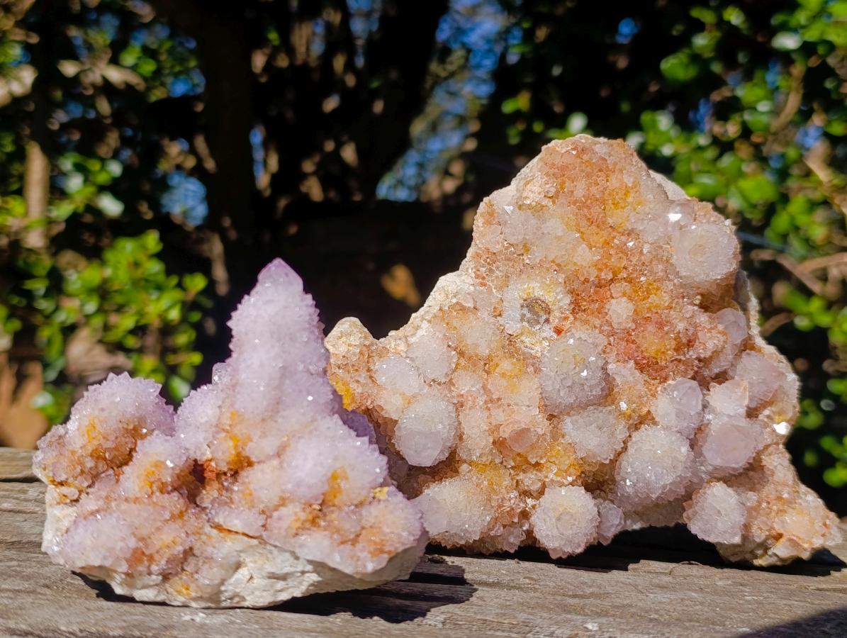 Natural Spirit Ametrine Clusters x 2 From Boekenhouthoek, South Africa - Toprock Gemstones and Minerals 