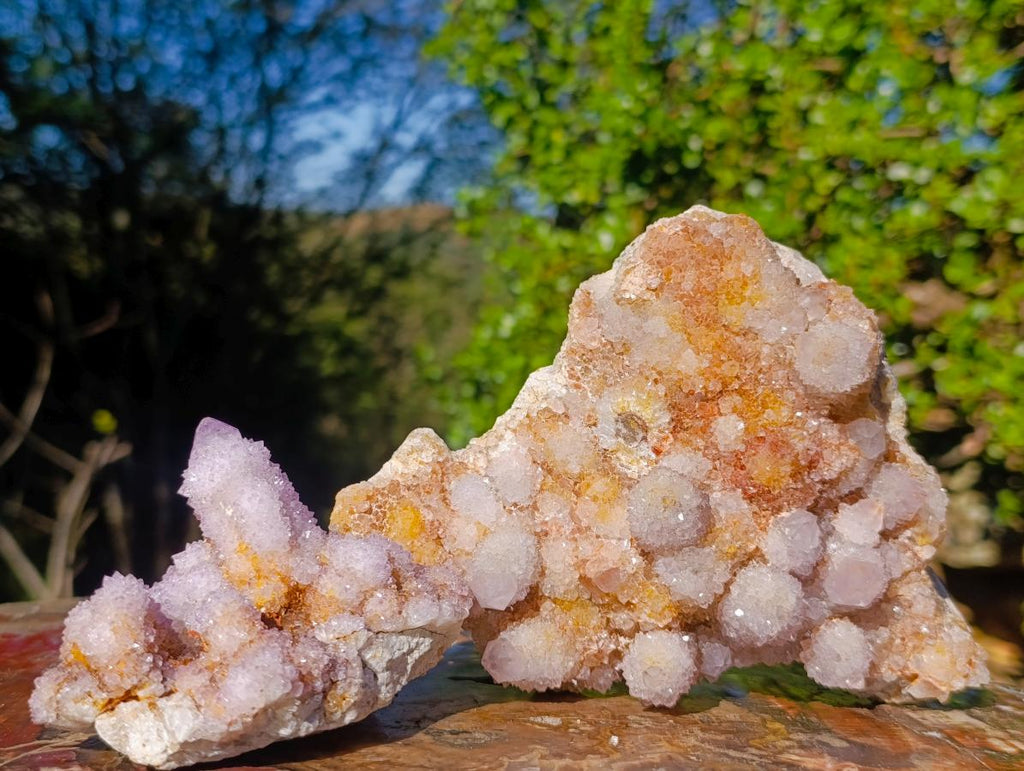 Natural Spirit Ametrine Clusters x 2 From Boekenhouthoek, South Africa - Toprock Gemstones and Minerals 