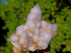 Natural Spirit Ametrine Clusters x 2 From Boekenhouthoek, South Africa - Toprock Gemstones and Minerals 