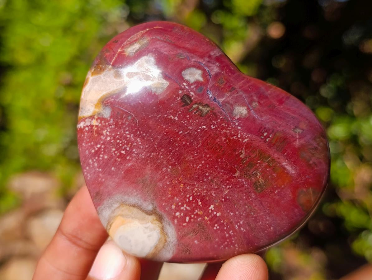 Polished Red Podocarpus Petrified Wood Hearts x 3 From Mahajanga, Madagascar - Toprock Gemstones and Minerals 