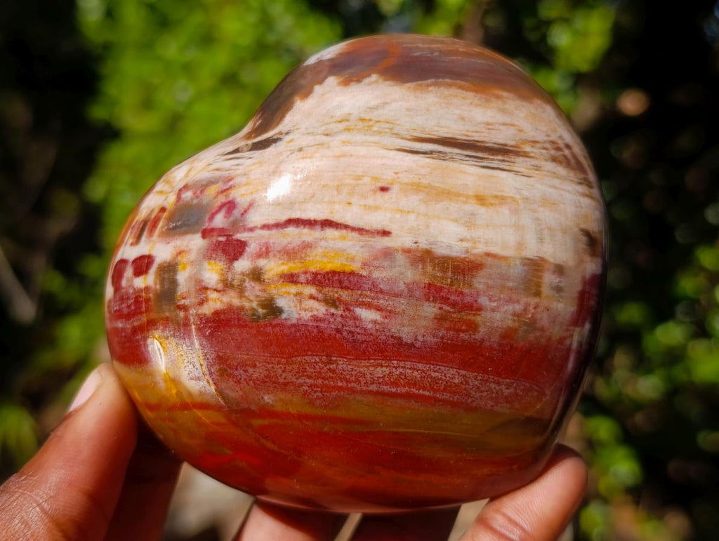 Polished Red Podocarpus Petrified Wood Hearts x 3 From Mahajanga, Madagascar - Toprock Gemstones and Minerals 