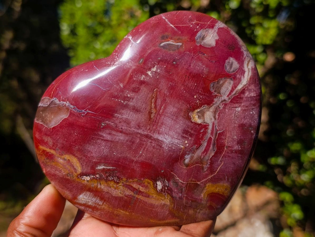 Polished Red Podocarpus Petrified Wood Hearts x 3 From Mahajanga, Madagascar - Toprock Gemstones and Minerals 
