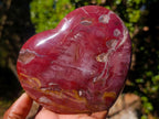 Polished Red Podocarpus Petrified Wood Hearts x 3 From Mahajanga, Madagascar - Toprock Gemstones and Minerals 