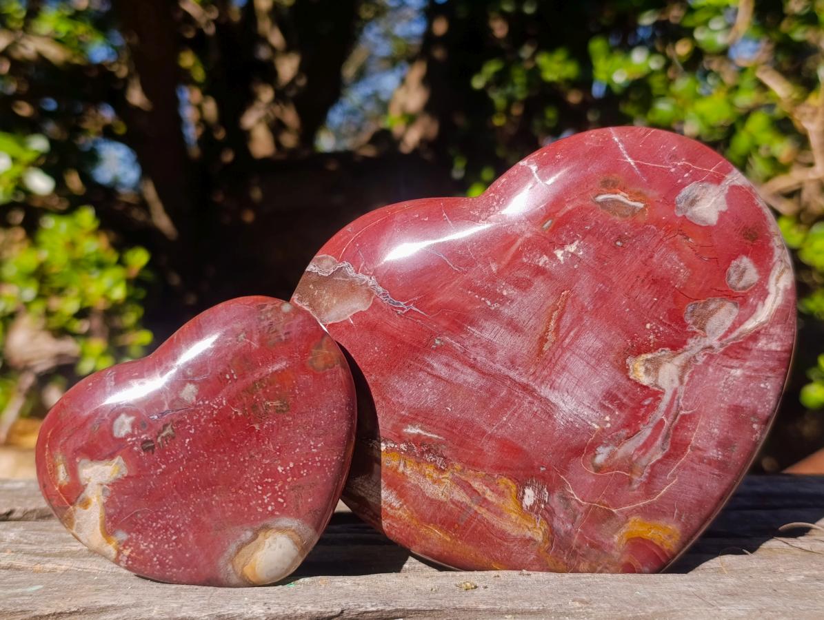 Polished Red Podocarpus Petrified Wood Hearts x 3 From Mahajanga, Madagascar - Toprock Gemstones and Minerals 