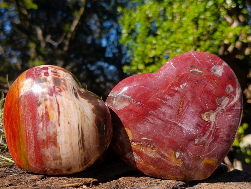 Polished Red Podocarpus Petrified Wood Hearts x 3 From Mahajanga, Madagascar - Toprock Gemstones and Minerals 
