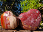 Polished Red Podocarpus Petrified Wood Hearts x 3 From Mahajanga, Madagascar - Toprock Gemstones and Minerals 