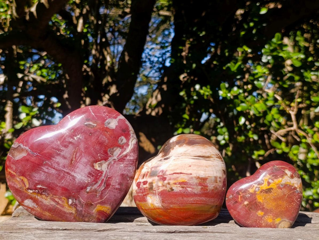 Polished Red Podocarpus Petrified Wood Hearts x 3 From Mahajanga, Madagascar - Toprock Gemstones and Minerals 