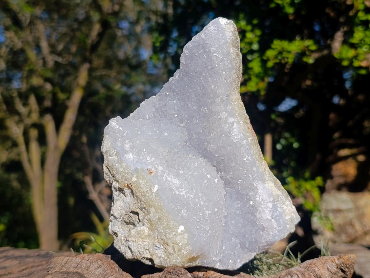 Natural Blue Lace Agate Geode and a Specimen x 2 From Nsanje, Malawi - Toprock Gemstones and Minerals 