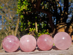 Polished Gemmy Star Rose Quartz Spheres x 4 From Madagascar - Toprock Gemstones and Minerals 