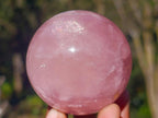 Polished Gemmy Star Rose Quartz Spheres x 4 From Madagascar - Toprock Gemstones and Minerals 