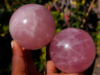 Polished Gemmy Star Rose Quartz Spheres x 4 From Madagascar - Toprock Gemstones and Minerals 