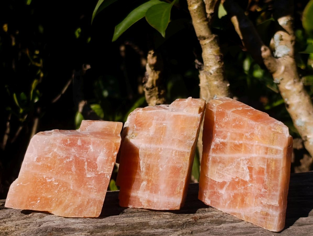 Natural Rhombohedral Sunset Orange Calcite Specimens x 24 From Spitzkop, Namibia - Toprock Gemstones and Minerals 