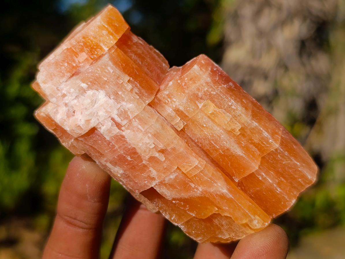 Natural Rhombohedral Sunset Orange Calcite Specimens x 24 From Spitzkop, Namibia - Toprock Gemstones and Minerals 