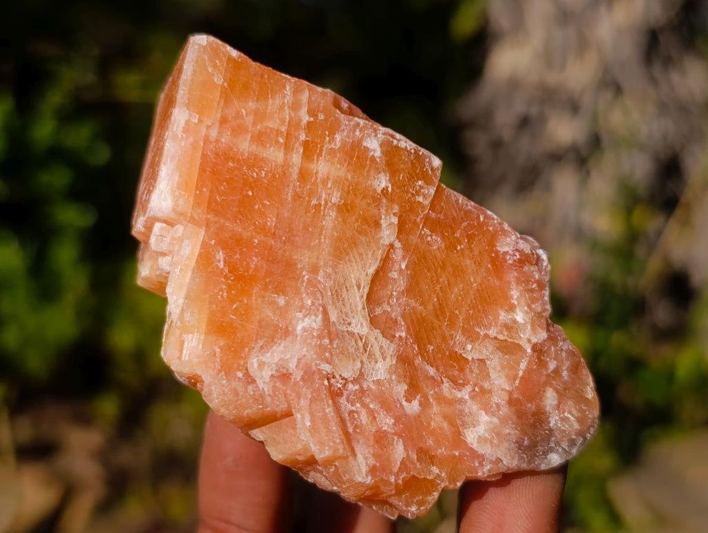 Natural Rhombohedral Sunset Orange Calcite Specimens x 24 From Spitzkop, Namibia - Toprock Gemstones and Minerals 