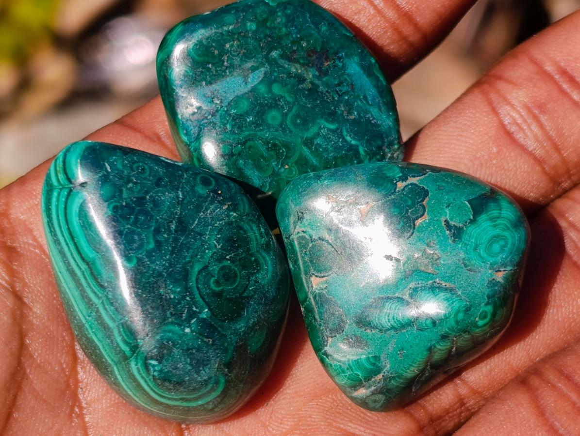 Polished Flower Banded Malachite Free Forms x 70 From Congo - Toprock Gemstones and Minerals 