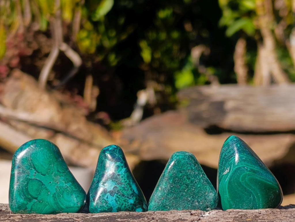 Polished Flower Banded Malachite Free Forms x 70 From Congo - Toprock Gemstones and Minerals 