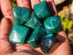 Polished Flower Banded Malachite Free Forms x 70 From Congo - Toprock Gemstones and Minerals 