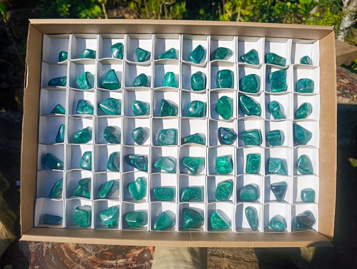 Polished Flower Banded Malachite Free Forms x 70 From Congo - Toprock Gemstones and Minerals 