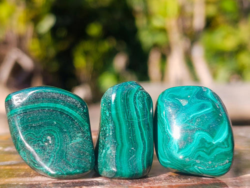 Polished Flower Banded Malachite Free Forms x 70 From Congo - Toprock Gemstones and Minerals 