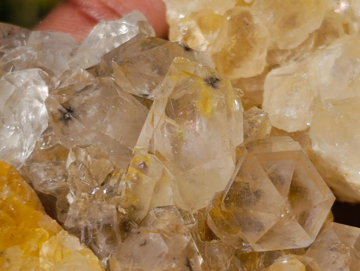 Natural Golden Limonite Quartz Clusters x 36 From Solwezi, Zambia - Toprock Gemstones and Minerals 