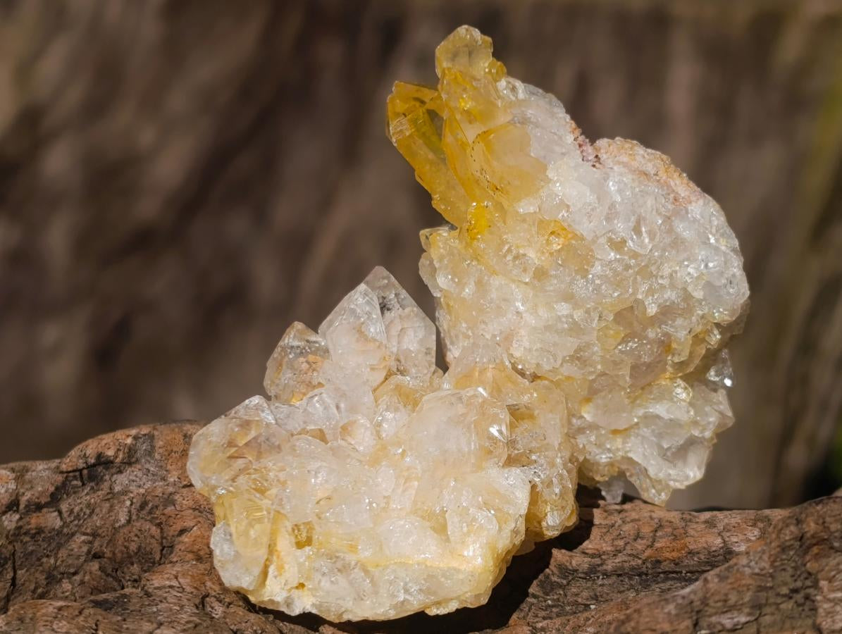 Natural Golden Limonite Quartz Clusters x 36 From Solwezi, Zambia - Toprock Gemstones and Minerals 