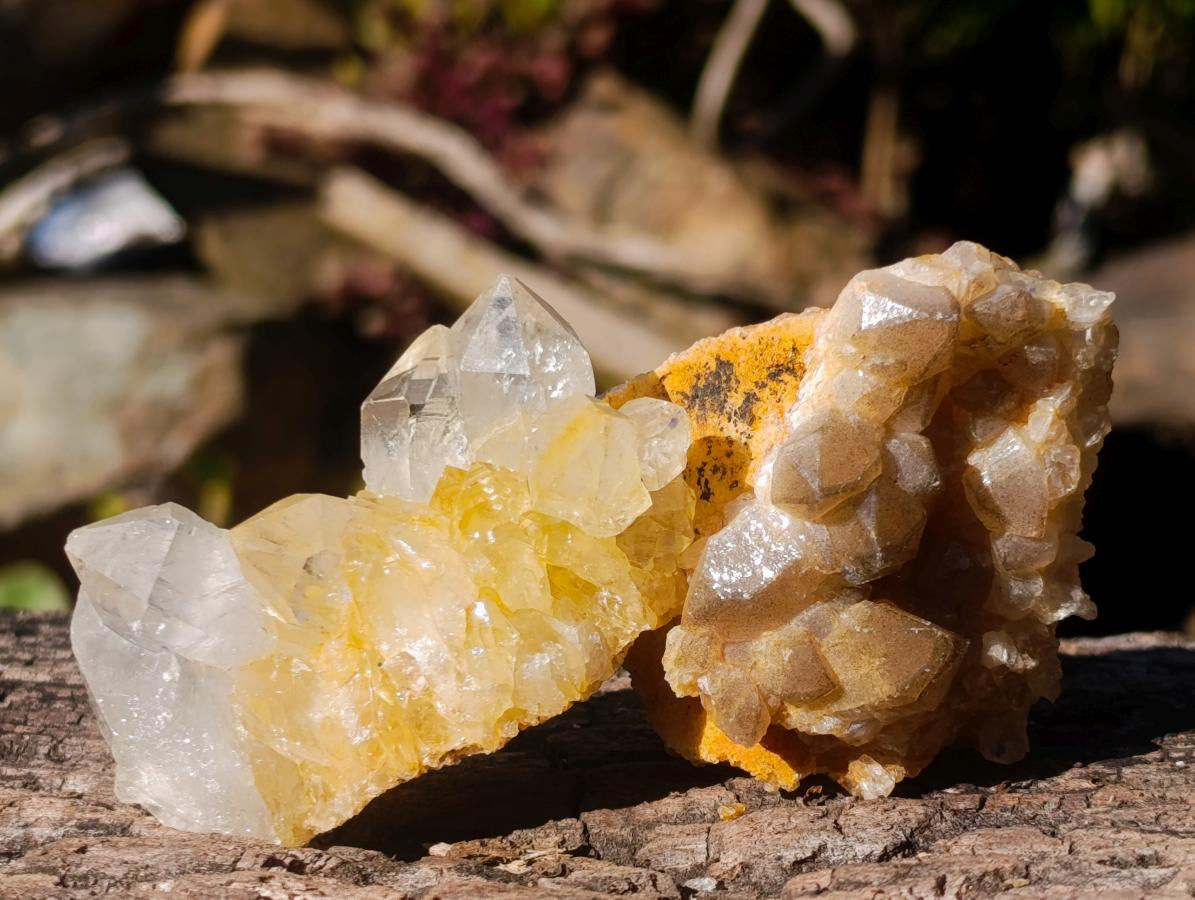 Natural Golden Limonite Quartz Clusters x 36 From Solwezi, Zambia - Toprock Gemstones and Minerals 